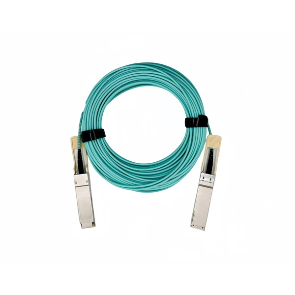 Can the core switch be directly connected to users  PDF preview