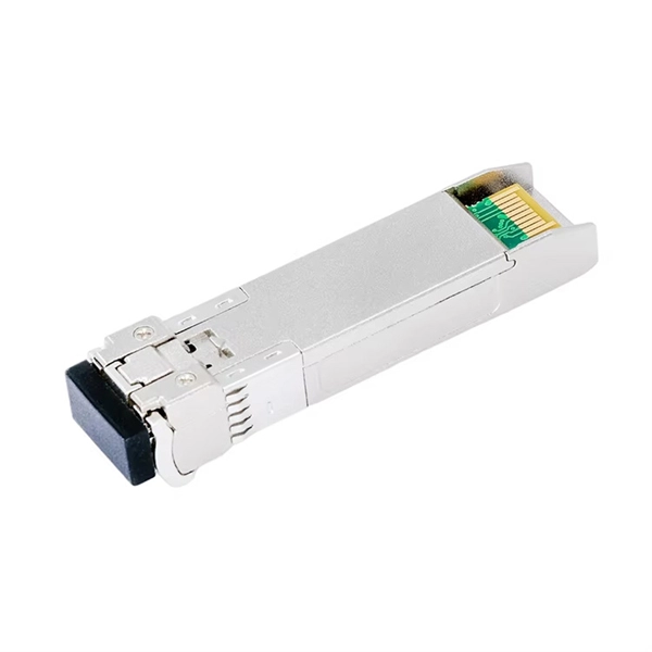Maldives Air-Cooled Switch 100G PDF preview