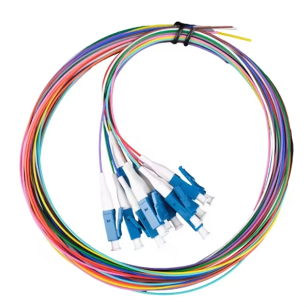 Switches and Fiber Optic Patch Panels