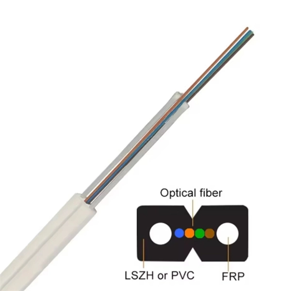 Are gigabit and 100 Mbps fiber optic cables compatible 