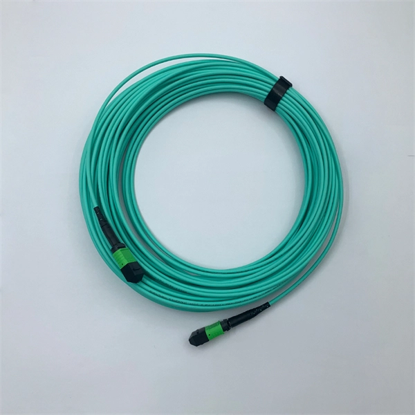 Yellow wire in household electrical distribution box