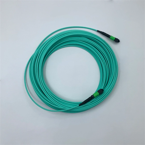 Brocade Fiber Optic Switch 16g PDF preview