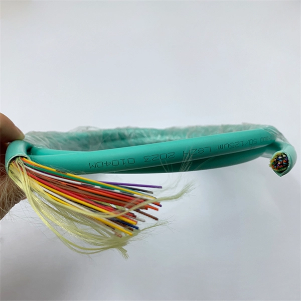 ODM Special Optical Cable 12 Cores PDF preview
