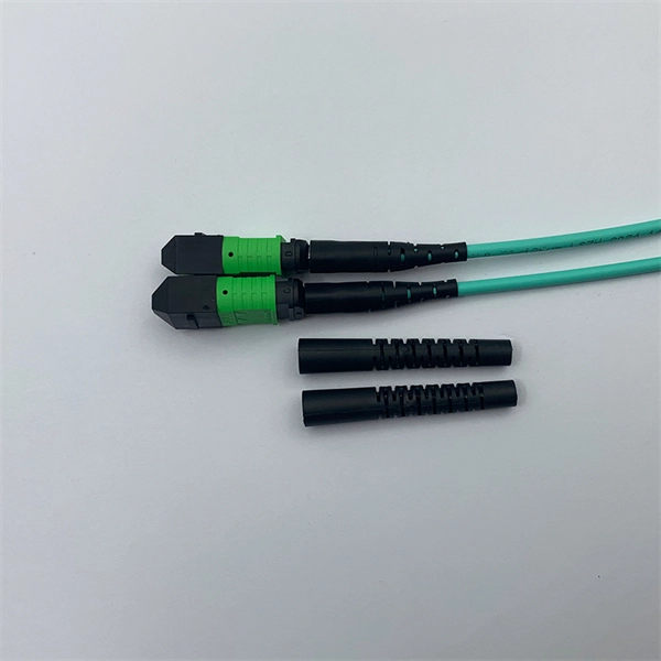 Router with built-in fiber optic interface