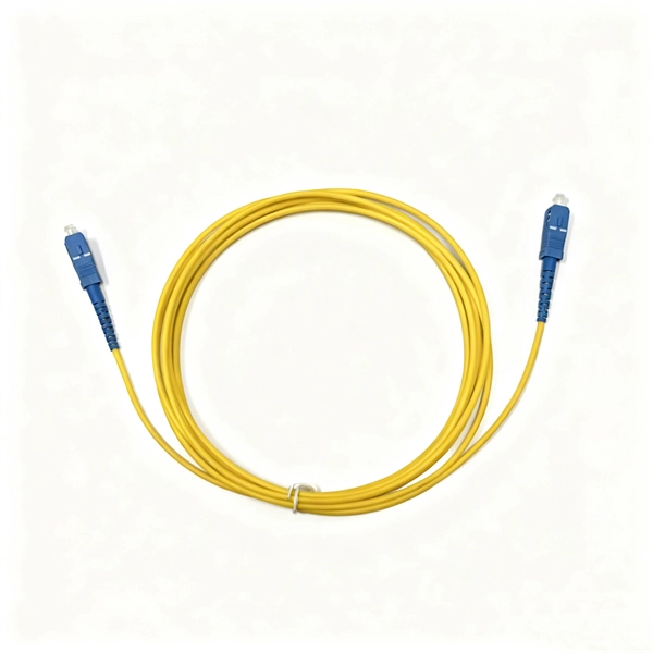 Slovenia Overseas Warehouse OTN Router 400G