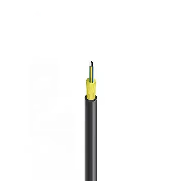 How to connect a router to a fiber optic network within an intranet 