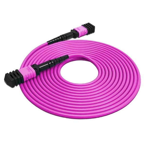 Fiber Optic Patch Cord Protection PDF preview
