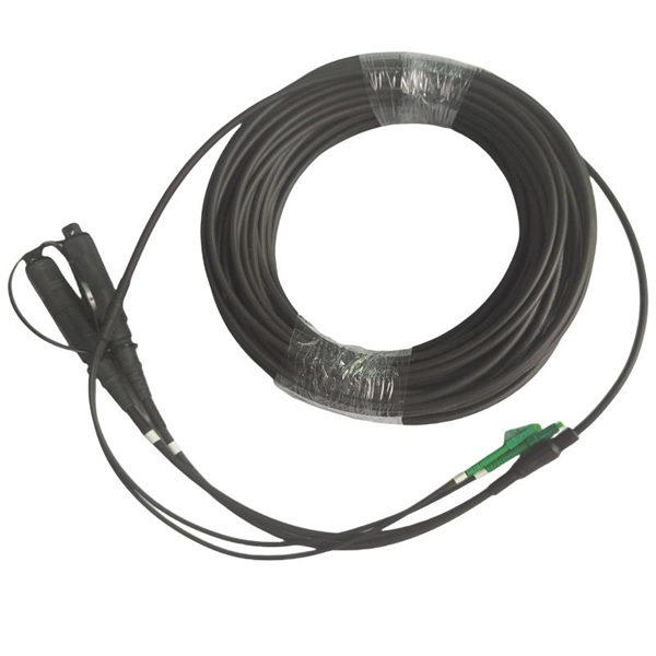 Congo Co-packaged Optical 800G PDF preview